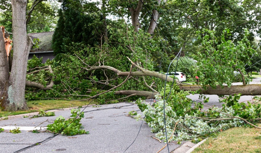 Best Chip Body Trucks for Natural Disasters Clean Up