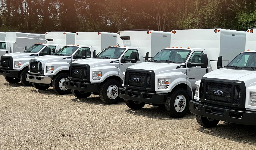 Maximizing Branding with Smooth-Sided Chip Bodies